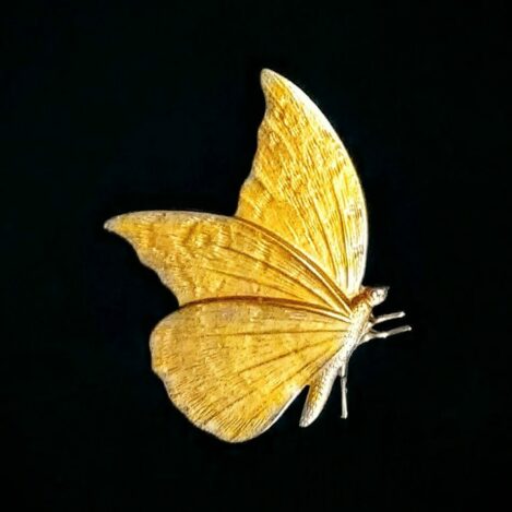 Broche Papillon