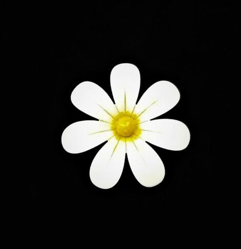 Broche Année 60